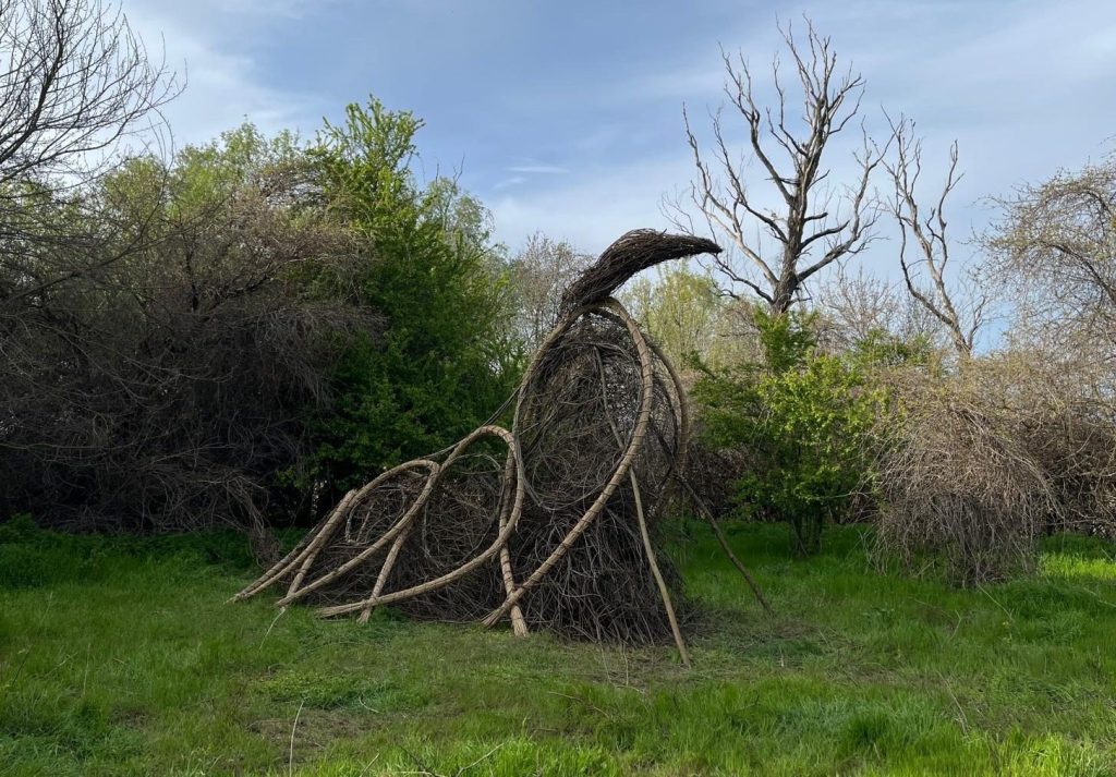 “Regina” (Dragonfly)